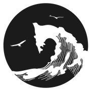 Freeca Surfboards logo